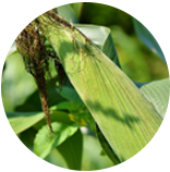 腾博官网-诚信为本,专业服务!