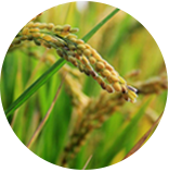 腾博官网-诚信为本,专业服务!